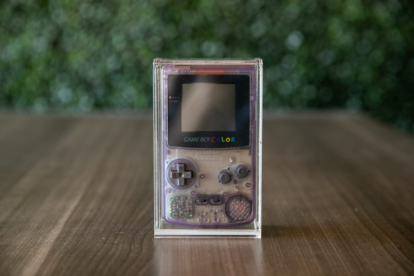 Game Boy Color CartVault Display Case