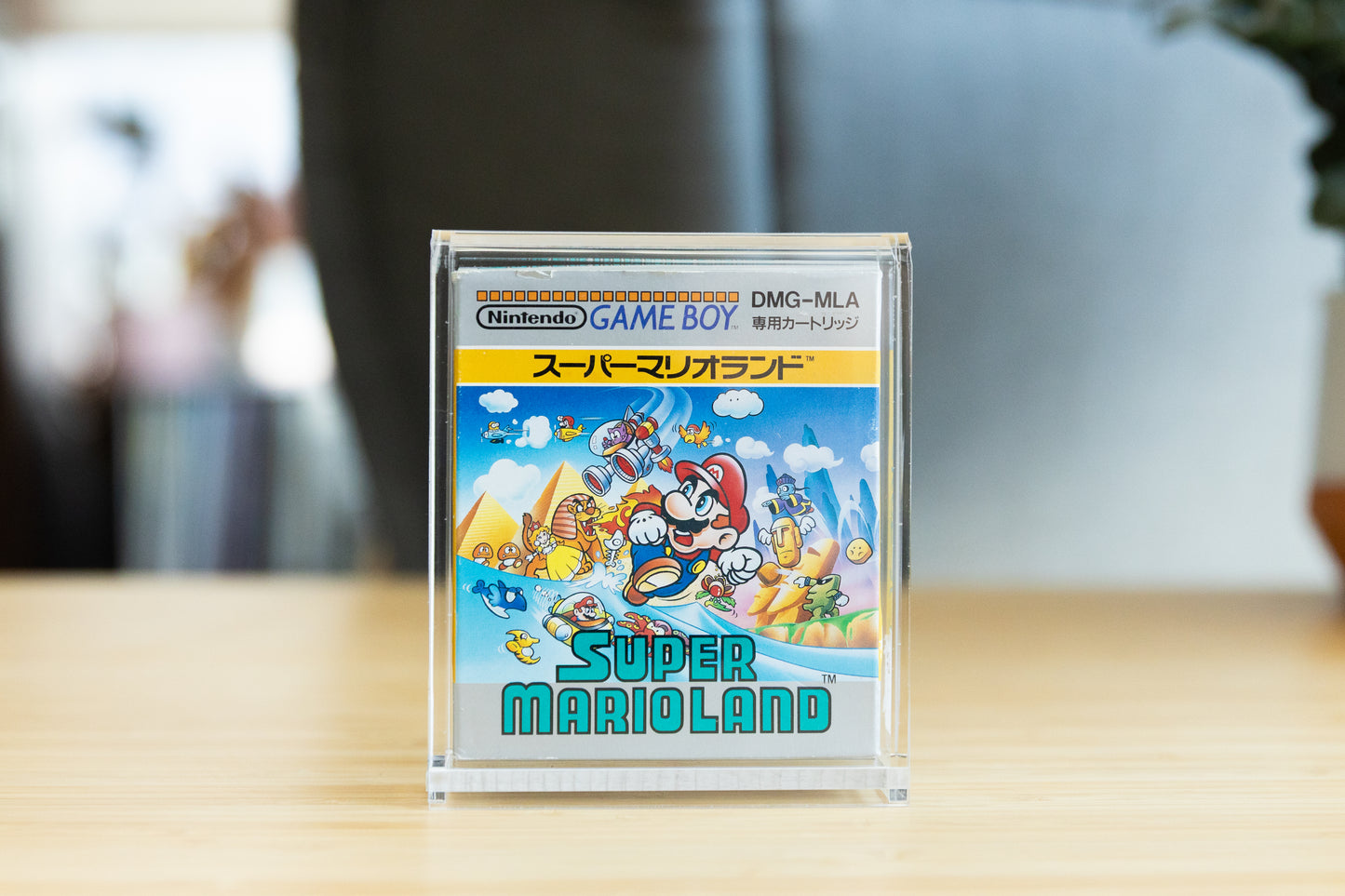 Japanische Game Boy-Spielebox CartVault Vitrine